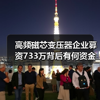 高频磁芯变压器企业募资733万背后有何资金用途?(图2) 碧松照明募资733万补充流动资金,资金用途曝光-玄熵磁材资讯(图2)