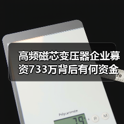 高频磁芯变压器企业募资733万背后有何资金用途?(图4) 碧松照明募资733万补充流动资金,资金用途曝光-玄熵磁材资讯(图4)