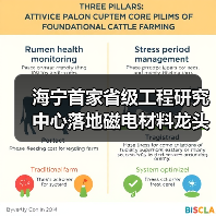 海宁首家省级工程研究中心落地磁电材料龙头(图2)