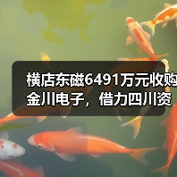横店东磁6491万元收购金川电子,借力四川资源扩张磁性材料市场(图2) 横店东磁6491万元收购金川电子,借力四川资源扩张磁性材料市场(图2)