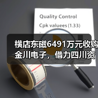 横店东磁6491万元收购金川电子，借力四