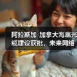 阿拉斯加-加拿大海底光缆建设获批，未来网络升级关键？(图2)