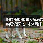 阿拉斯加-加拿大海底光缆建设获批，未来网络升级关键？(图4)