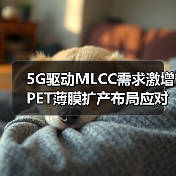 5G驱动MLCC需求激增 PET薄膜扩产布局应对挑战 - 玄熵磁材资讯