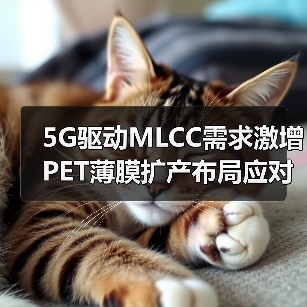 5G驱动MLCC需求激增 PET薄膜扩产布局应对挑战(图2)