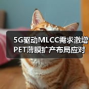 5G驱动MLCC需求激增 PET薄膜扩产布局应对挑战(图3)