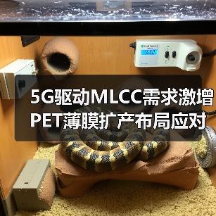 5G驱动MLCC需求激增 PET薄膜扩产布局应对挑战(图4)