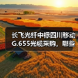 长飞光纤中标四川移动G.655光缆采购，