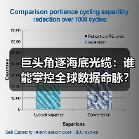 巨头角逐海底光缆：谁能掌控全球数据命脉？(图2)