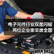 电子元件行业双星闪耀：两位企业家荣膺全国建设者称号(图2)