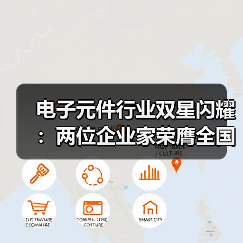 电子元件行业双星闪耀：两位企业家荣膺全国建设者称号(图3)