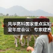 风华高科国家重点实验室年度会议：专家建言
