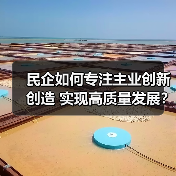 民营企业如何心无旁骛创新？看这些成功案例-玄熵磁材资讯(图4)