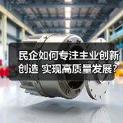 民营企业如何心无旁骛创新？看这些成功案例-玄熵磁材资讯(图3)
