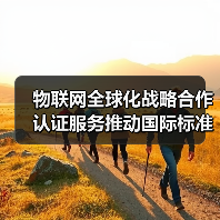 物联网全球化合作，汉威科技与BSI如何共