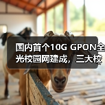 国内首个10G GPON全光校园网建成，三大校区实现300Mbps高速连接(图4)