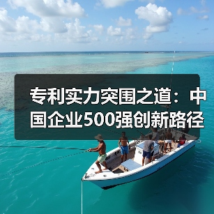 专利实力突围之道：中国企业500强创新路径解析(图2)