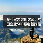专利实力突围之道：中国企业500强创新路径解析(图3)
