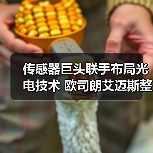 传感器巨头联手布局光电技术 欧司朗艾迈斯整合如何引领行业(图2) 传感器巨头联手布局光电技术未来-玄熵磁材资讯(图2)