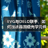 EVG与DELO联手,如何加速晶圆级光学元件与纳米压印技术应用?(图2) 晶圆级光学元件领域,EVG与DELO如何联手推动光学传感器突破?-玄熵磁材资讯(图2)