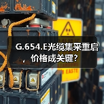 G.654.E光缆集采重启,价格成关键?(图2) G.654.E光缆集采重启,价格成关键?(图2)