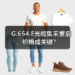 G.654.E光缆集采重启,价格成关键?(图4) G.654.E光缆集采重启,价格成关键?(图4)