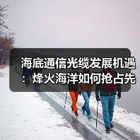 海底通信光缆发展机遇:烽火海洋如何抢占先机?(图2) 海底通信光缆发展机遇:烽火海洋如何抢占先机?(图2)