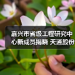 嘉兴市省级工程研究中心新成员揭晓 天通股份与桐昆集团上榜(图2) 嘉兴市省级工程研究中心新成员揭晓 天通股份与桐昆集团上榜(图2)