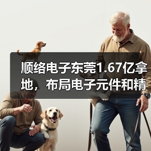 顺络电子东莞1.67亿拿地,布局电子元件和精密陶瓷项目(图1) 顺络电子东莞1.67亿拿地,布局电子元件和精密陶瓷项目(图1)