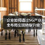 中际旭创3000万投资5G产业基金，布局全产业链提升竞争力-玄熵磁材资讯(图4)