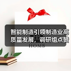 智能制造引领制造业高质量发展，调研组点赞