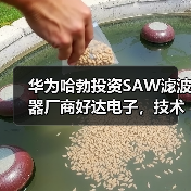 华为哈勃投资SAW滤波器厂商好达电子，技术实力解析(图2)