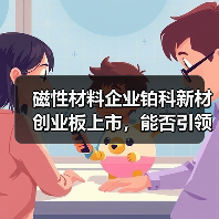 磁性材料企业铂科新材创业板上市,能否引领行业新风?(图3) 磁性材料企业铂科新材创业板上市,能否引领行业新风?(图3)