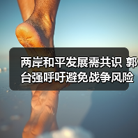 两岸和平发展需共识 郭台强呼吁避免战争风险(图3) 两岸和平发展需共识 郭台强呼吁避免战争风险(图3)