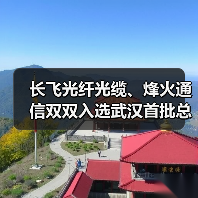 长飞光纤光缆、烽火通信双双入选武汉首批总部企业名单(图3)