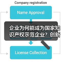 企业为何能成为国家知识产权示范企业?创新实力如何体现?(图4) 企业为何能成为国家知识产权示范企业?创新实力如何体现?(图4)