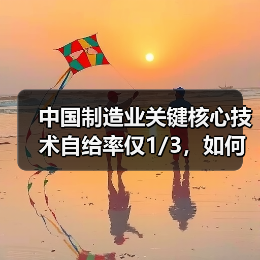 中国制造业关键核心技术自给率仅1/3，如
