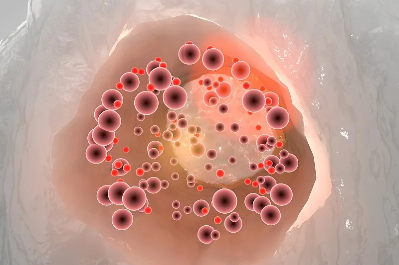 基础物理学突破！美国能源部实验室宣布首次合成“磁单极子”雏形(图1)
