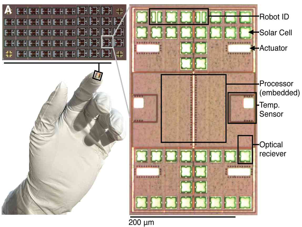 自主手术微型机器人研发成功，医疗科技迈入毫米级时代 - 信报磁材资讯